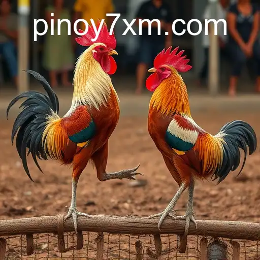 Exploring the World of Sabong Games: A Deep Dive into the Thrill of 7XM.COM